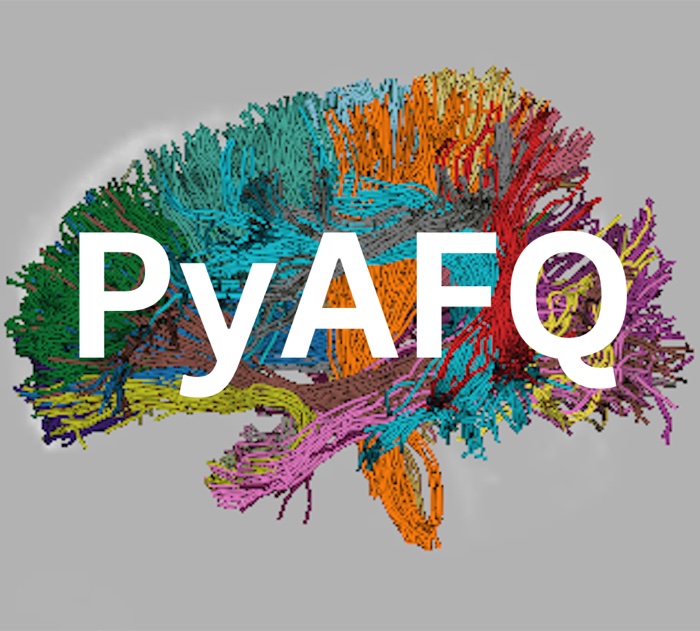 pyAFQ: a colorized tractography rendering of major white matter tracts